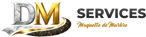 DM Services Lyon logo horizontal